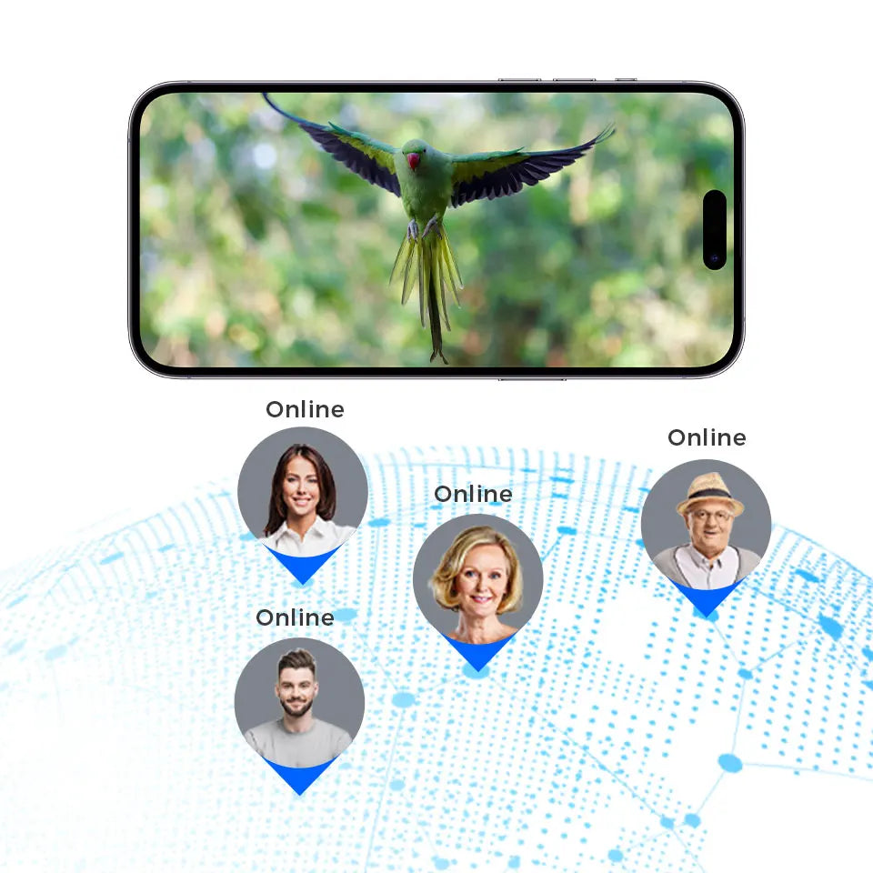 Smart Solar Bird Feeder with 2K HD Camera