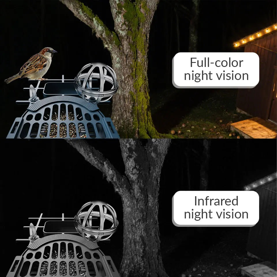 Smart Solar Bird Feeder with 2K HD Camera