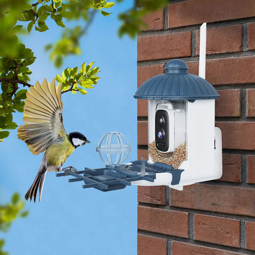 Smart Solar Bird Feeder with 2K HD Camera